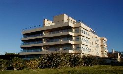 Hipocampo en Brava 4689 1 grande